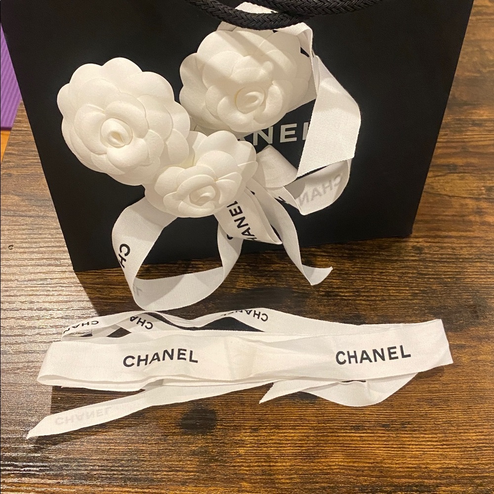 Chanel gift bag 9” by 7”